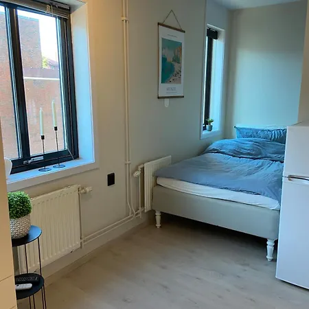 Sentral Og Sjarmerende Studioleilighet I דירה אוסלו