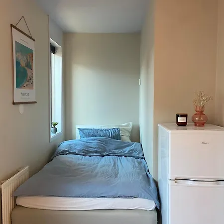 Sentral Og Sjarmerende Studioleilighet I * אוסלו