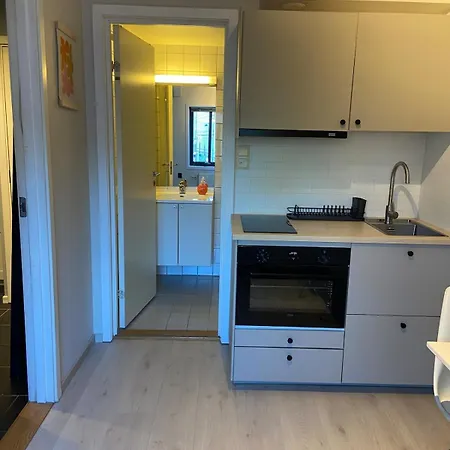 Sentral Og Sjarmerende Studioleilighet I אוסלו