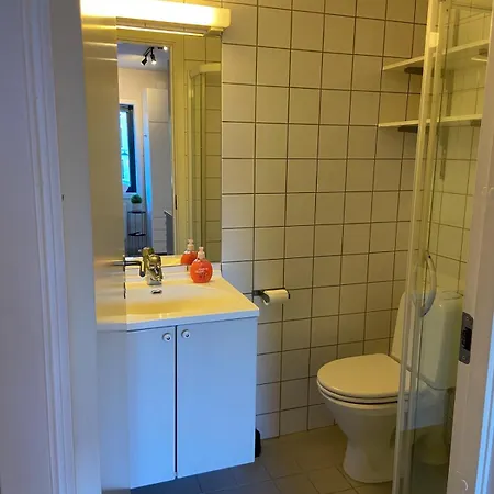 Sentral Og Sjarmerende Studioleilighet I דירה אוסלו