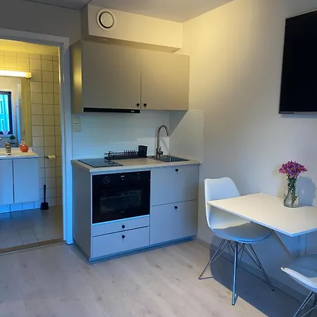 דירה Sentral Og Sjarmerende Studioleilighet I אוסלו