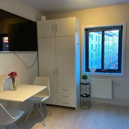 Sentral Og Sjarmerende Studioleilighet I * אוסלו